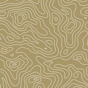 Topographic Map - Land FingerPrint - Minimalist mountains - landscape nature altitude map - Mountain Heights - wet sand and white