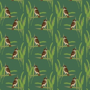 Birds in the Wheat
