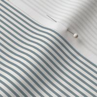Beefy Pinstripe: Gray Blue Thin Stripe, Tiny Stripe