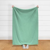 Pastel mint green solid color / plain light baby green color block swatch / soft pale blender coordinates solids