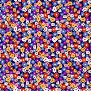 Colorful Daisies in Blue