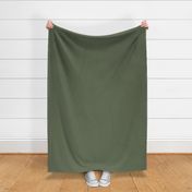 Solid Pine Green - Rustic Christmas coordinate