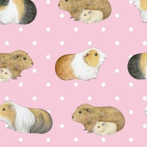 Guinea Pig Rows and Swiss Dot on winter rose - medium scale