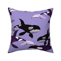 Orcas on Purple / Large