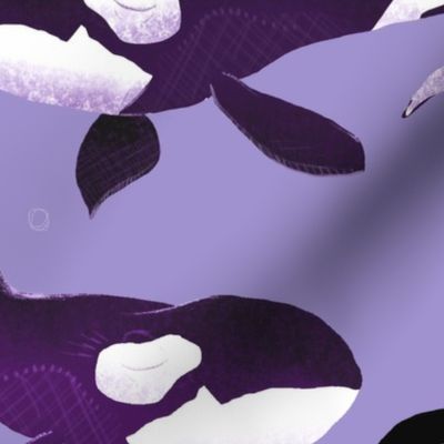 Orcas on Purple / Large