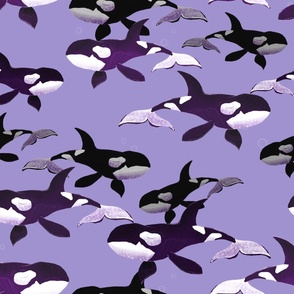 Orcas on Purple / Large