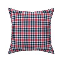 Perfect Plaid Navy Small