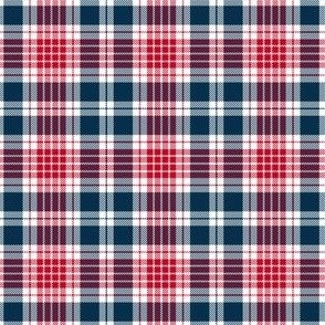 Perfect Plaid Navy Small