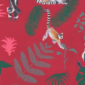 Lemurs - Raspberry Red