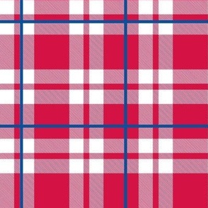 Bigger Scale Team Spirit Baseball Plaid in Philadelphia Phillies Colors Blue and Red