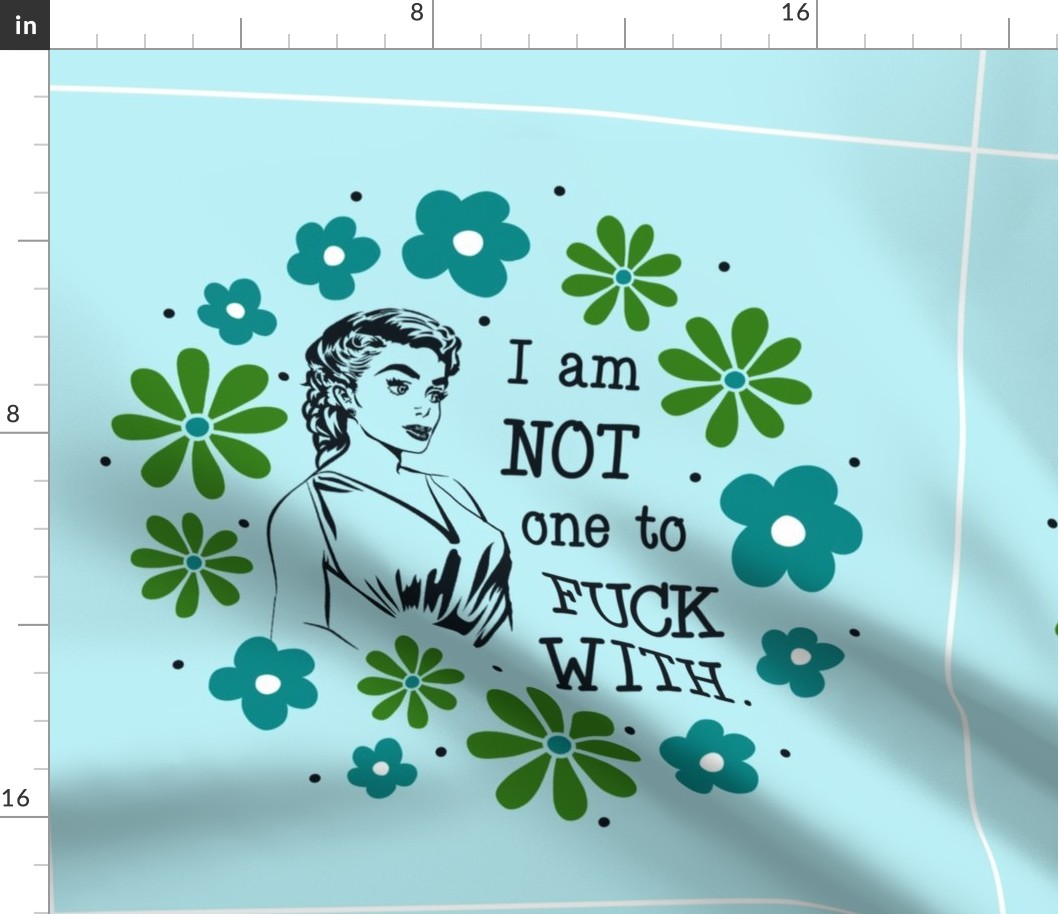 18x18 Panel Sassy Ladies I am Not One to Fuck With Sarcastic Sweary Humor Blue for DIY Throw Pillow Cushion Cover Tote Bag