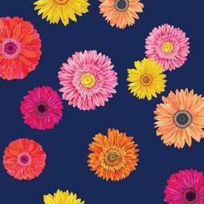 Gerber daisy scattered navy