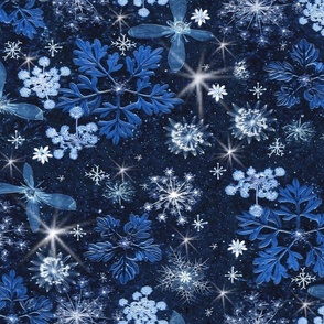 Surrealism Stars/Snowflakes Midnight Sky
