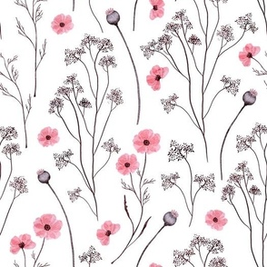 Pink poppies wildflowers. Floral farmhouse. LARGE