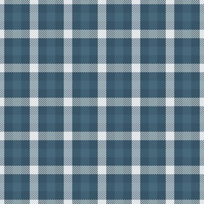 Denim blue and white plaid with twill weave look
