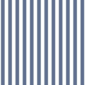 1/4 inch Candy Stripe in preppy blue and white  0.25 inch -25