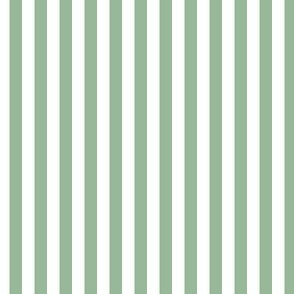 1/4 inch Candy Stripe in celadon green and white  0.25 inch - 32