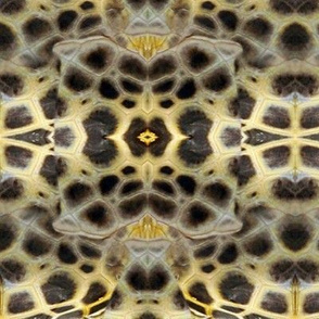 Turtle Skin, softer turtle skin pattern