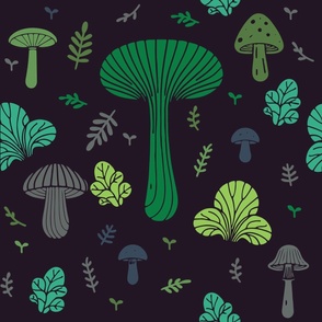 Deep Forest Mushrooms