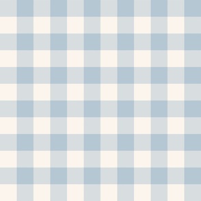 Baby Blue Plaid Check Gingham Pattern