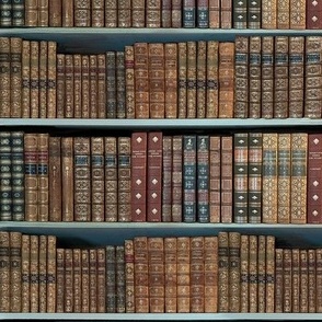 Antique Vintage preppy  books on bookshelves 12” repeat Dark academia earthy brown hues