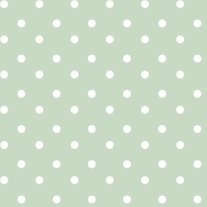 Mint green polka dot small