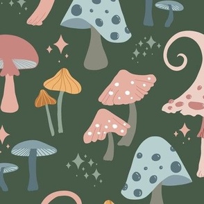 Magic Mushrooms with Stars on Forest Floor