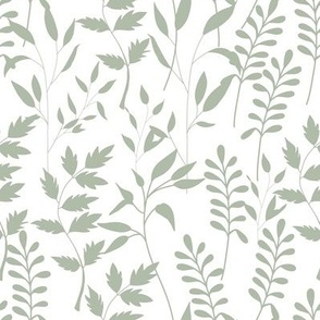 Leaves and ferns in sage olive green
