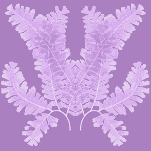 Fern Fantasia on Lavender