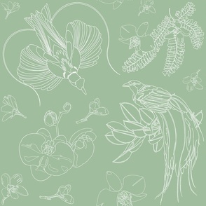 Birds of Paradise with Flowers & Foliage - White Line Art on Sage