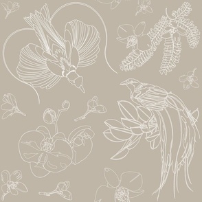 birds-of-paradiase-with-flowers-foliage-white-line-art-on-taupe