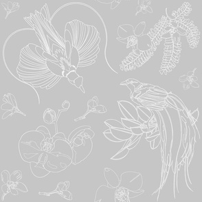 Birds of Paradise with Flowers & Foliage - White Line Art on Grey