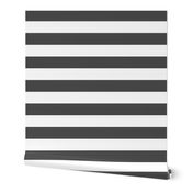 dark grey 2" stripes LG
