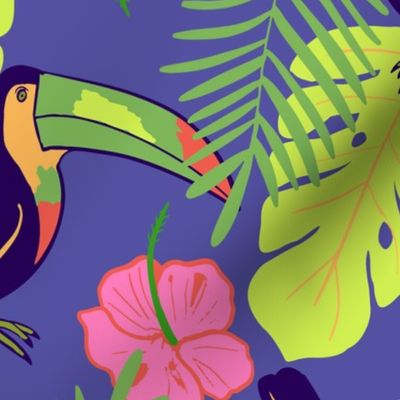 Toucan Tropico - Dark background