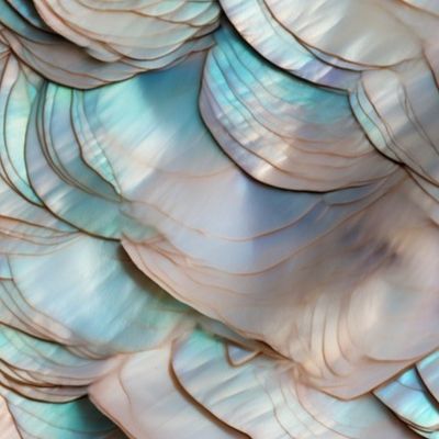 Mother of Pearl Abalone Scales