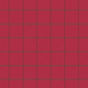 Windowpane Check - Candy Cane Red and Amazon Moss Green (TBS133)