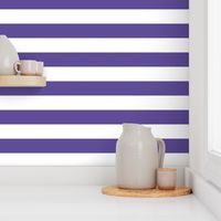 purple 2" stripes LG