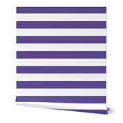 purple 2" stripes LG