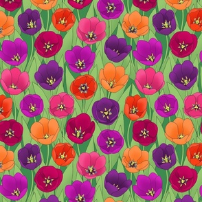vibrant tulips mix