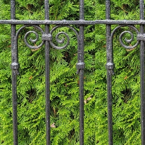 Iron Fence