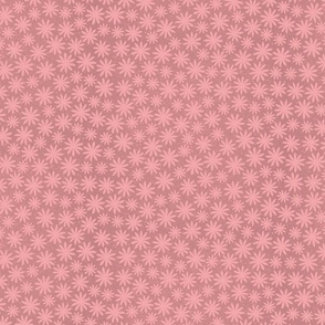 Sweet daisies | pink | small