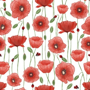 Red Poppies and Ladybugs on White