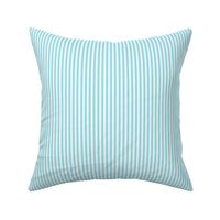 sky blue ticking stripes