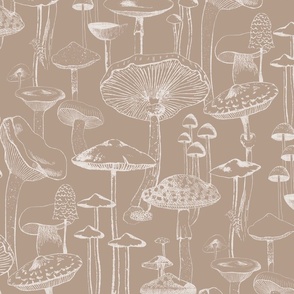 Mushrooms  - Taupe