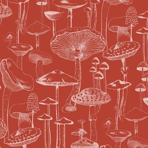 Mushrooms - Crimson