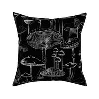 Mushrooms - Black