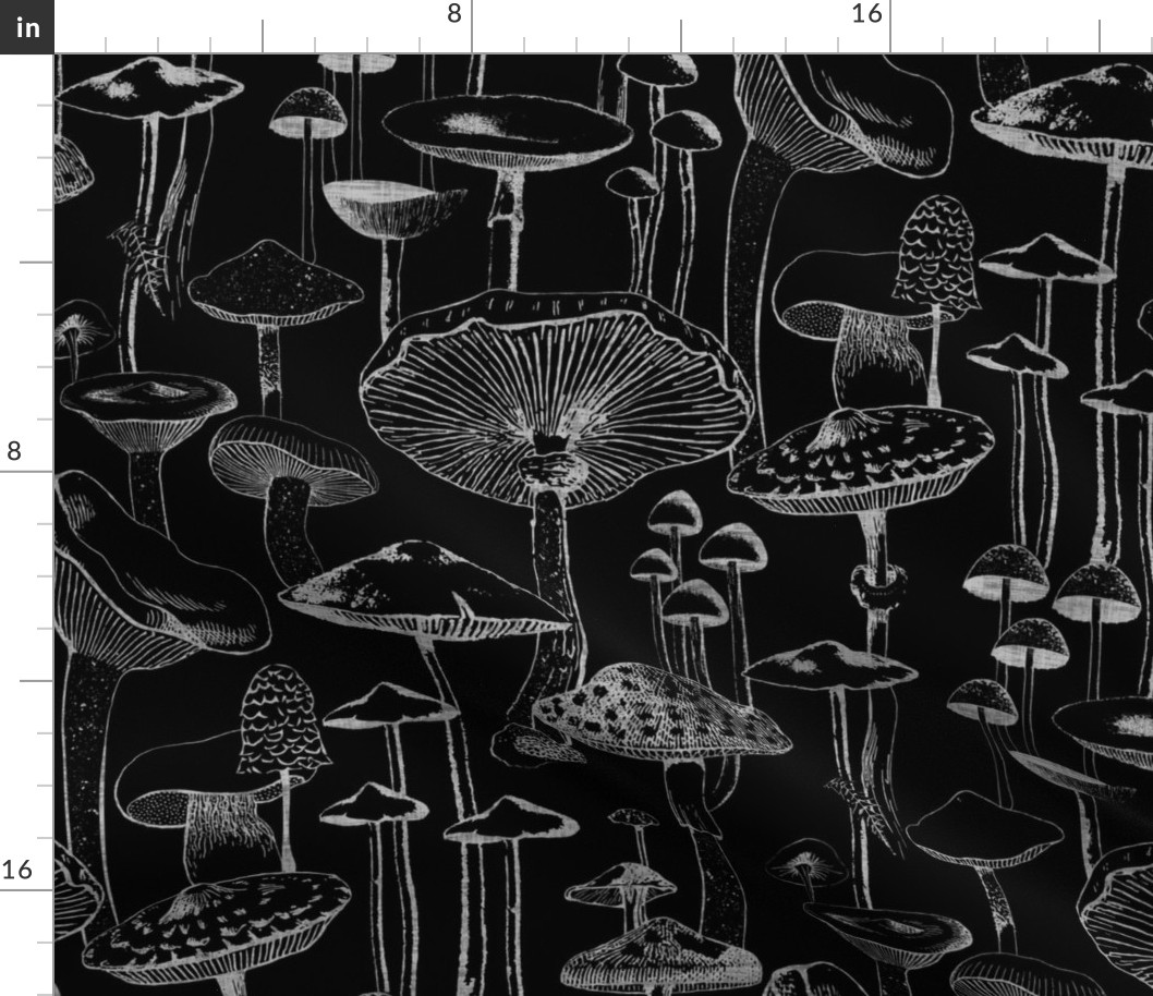Mushrooms - Black