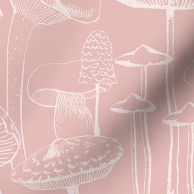Mushrooms - Dusty Pink