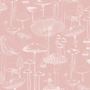 Mushrooms - Dusty Pink