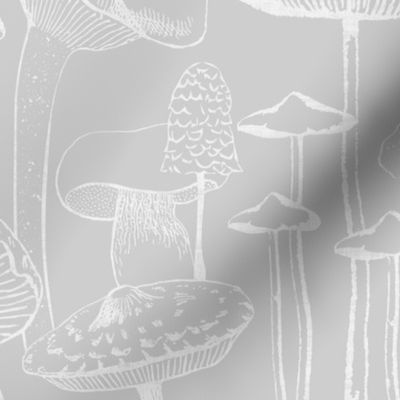 Mushrooms - Gray